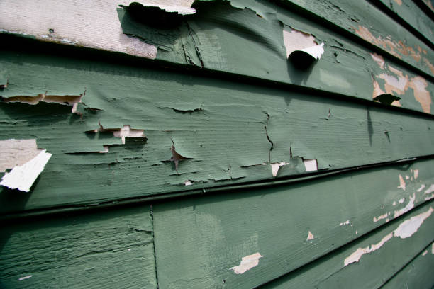 Professional Junk Removal in Santa Nella, CA